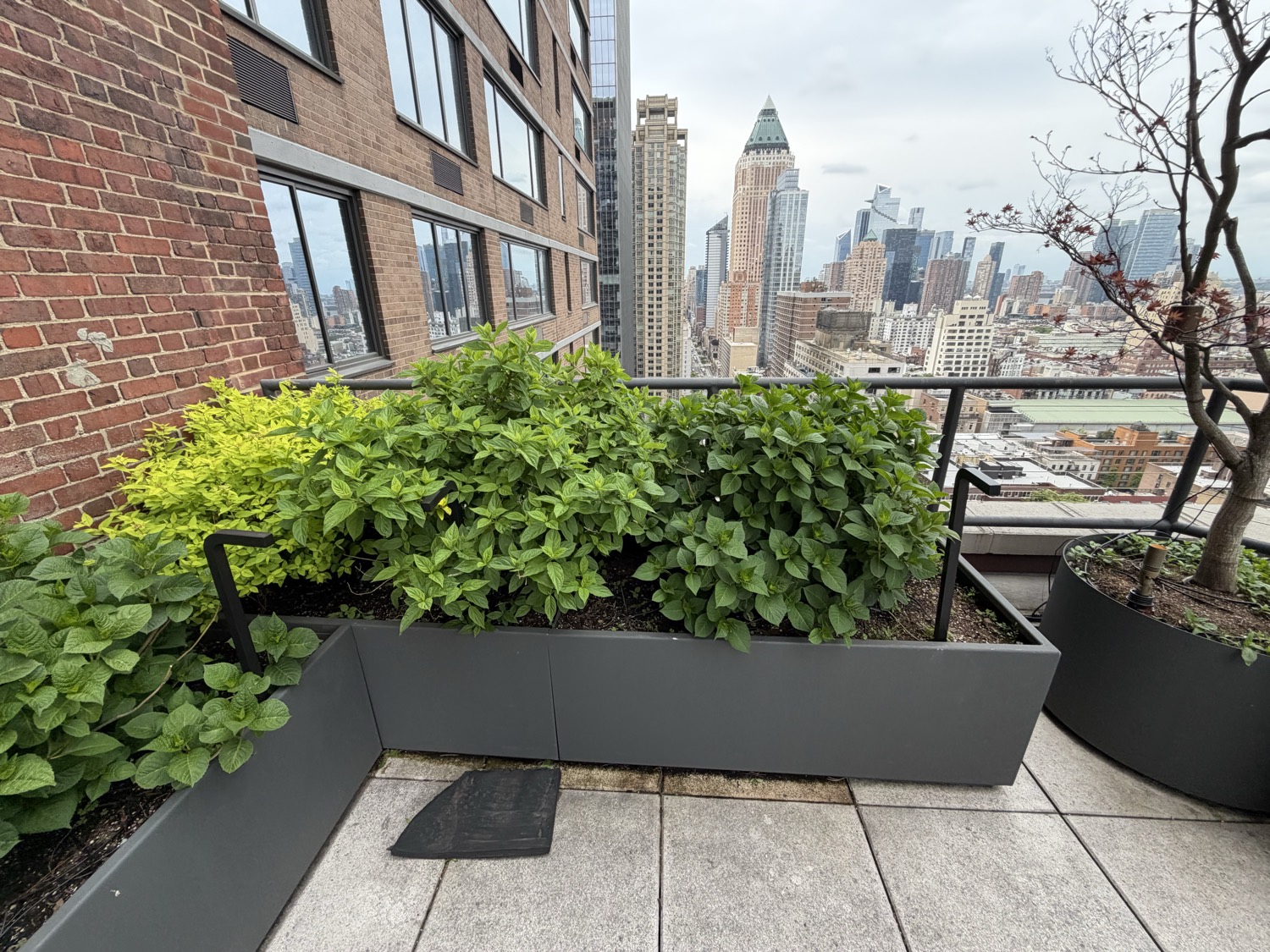 250 West 57th Street restoration
